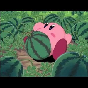 Meet your Posher, Marco